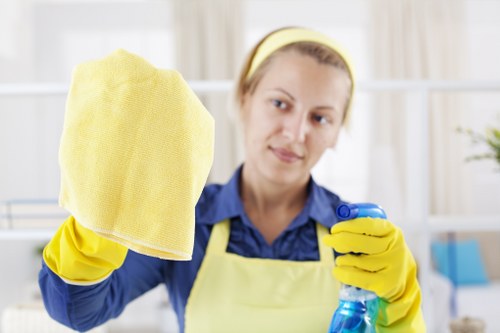 Facade cleaning service for a SW5 residential building exterior