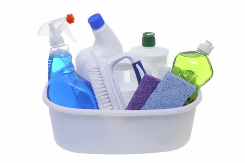 Window cleaning service for SW5 homes and flats
