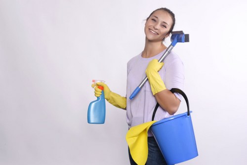 Kitchen and bathroom routine cleaning in an SW5 property