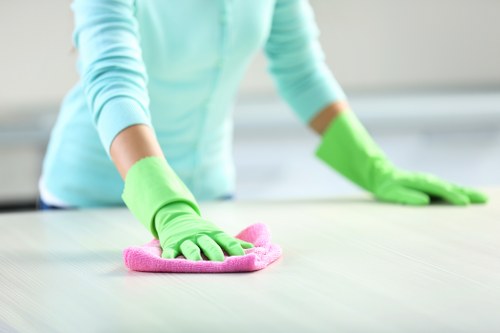 Leather sofa cleaning and care in SW5 interiors