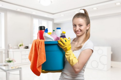 Experienced cleaner in SW5 providing careful long-term maintenance