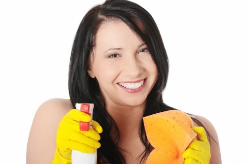 Mattress cleaning process for a London SW5 property