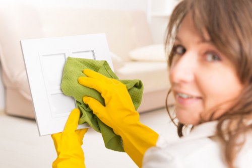 Oven cleaning for residential and commercial customers in SW5