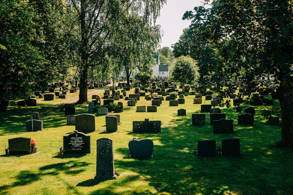 An outdoor scene at Brompton Cemetery showing a variety of tombstones and memorials made of stone and marble, arranged along a clearing pathway. The area is shaded by tall, leafy trees with dense gree