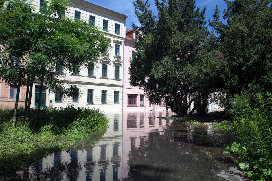 A flooded street in Earls Court with water covering the pavement and extending up to the base of multi-story residential buildings. The buildings have white and pink facades with multiple windows, some with decorative trims. Tall trees with dense green foliage line the street, casting shadows on the water's surface, which reflects the surrounding structures and greenery. Bright daylight illuminates the scene, highlighting the floodwaters and the lush vegetation on the roadside. Cleaners SW5 provides emergency same-day cleaning and flood damage restoration services in the SW5 area, ensuring surface cleaning and sanitisation of affected properties.